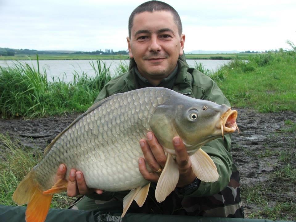 Lates iunie 2013 - 101732759319668074753746072110n.jpg